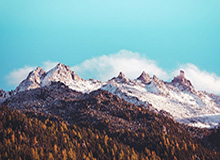 BSports：让热爱体育成为你的专属财富之旅